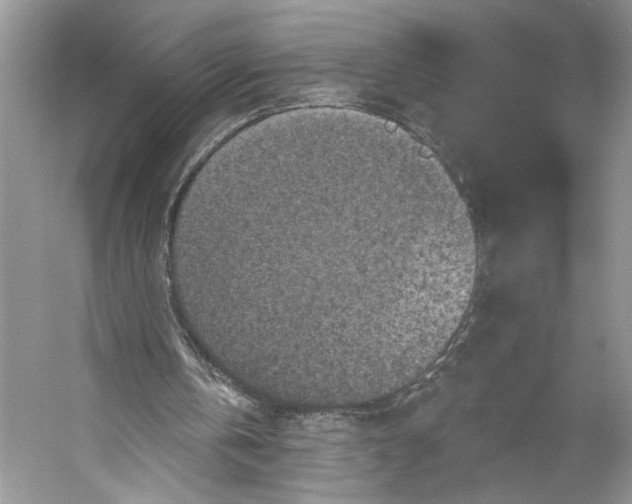 X0000053120146200508081300