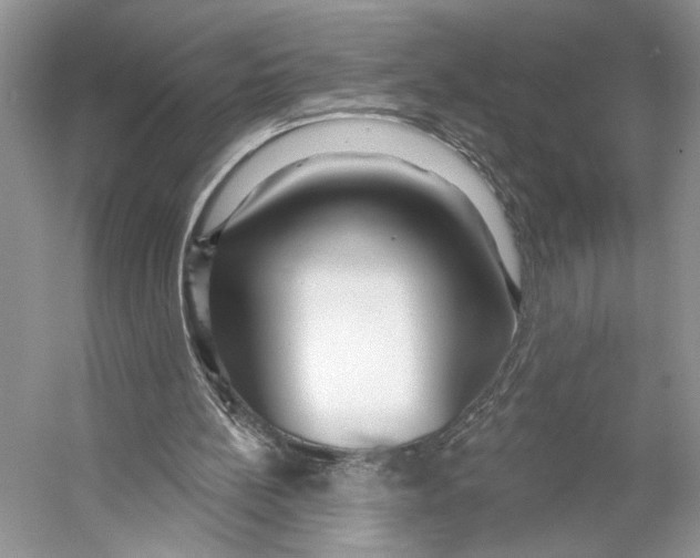 X0000053120148200508081301