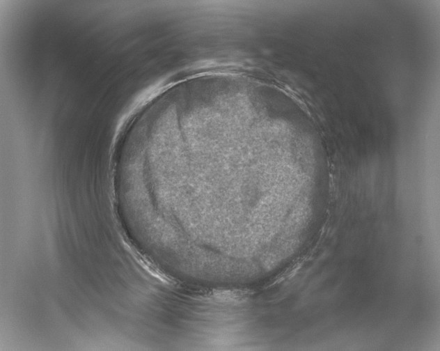 X0000053120149200508081301