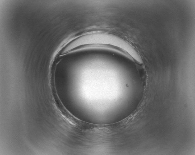 X0000053120150200508081301