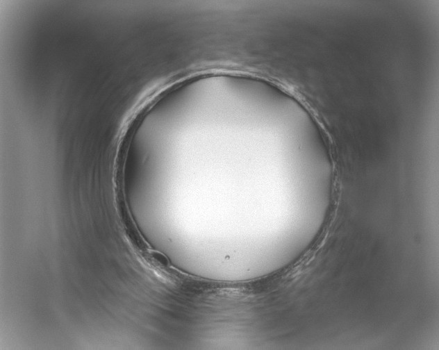 X0000053120151200508081301