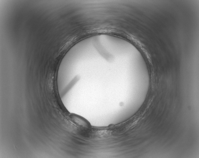 X0000053120153200508081301