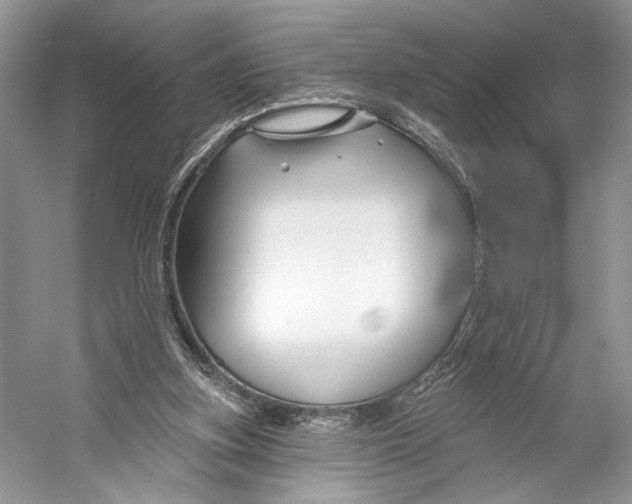 X0000053120155200508081301