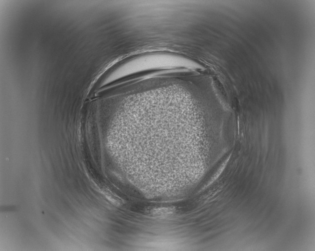 X0000053120156200508081301