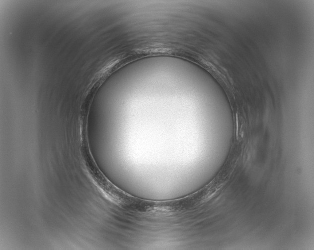 X0000053120157200508081301