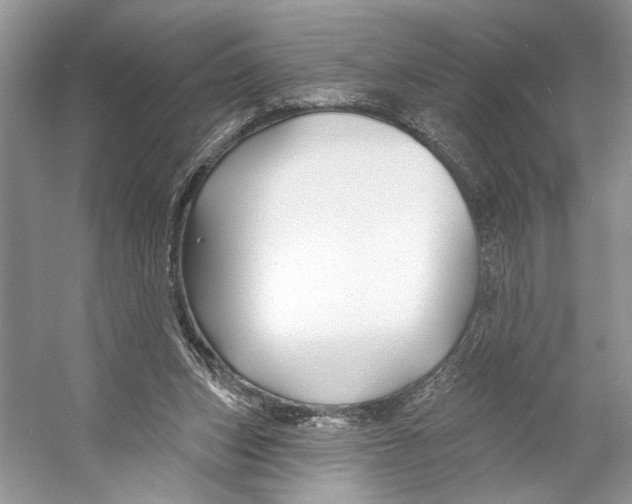 X0000053120159200508081301