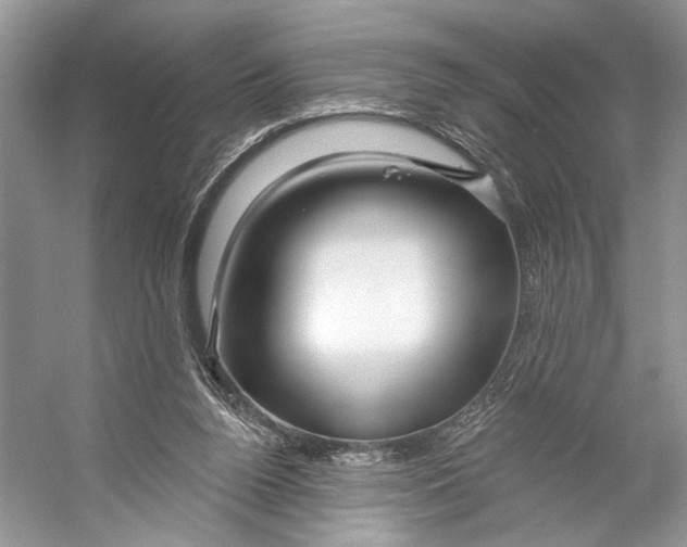 X0000053120160200508081301