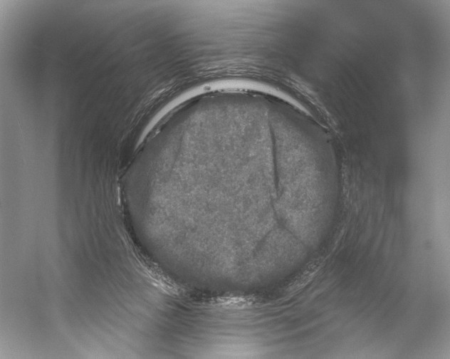 X0000053120161200508081301