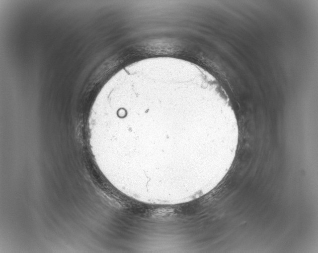 X0000053120162200508081301