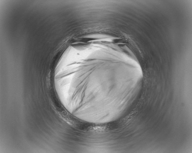 X0000053120163200508081301