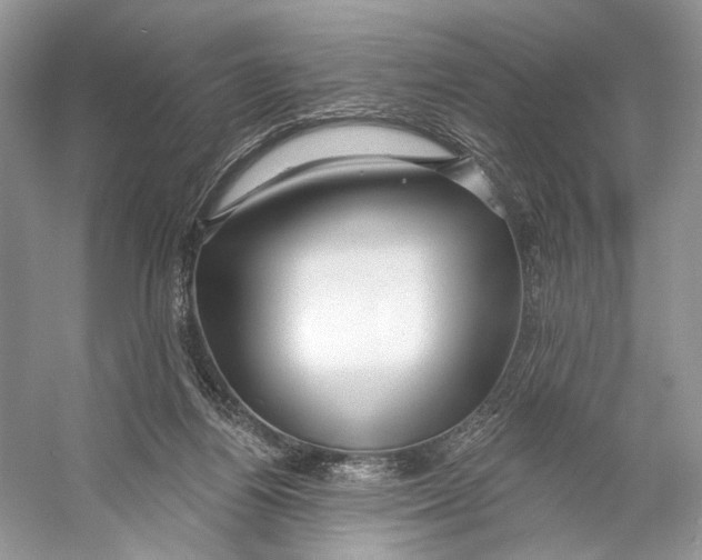 X0000053120164200508081301