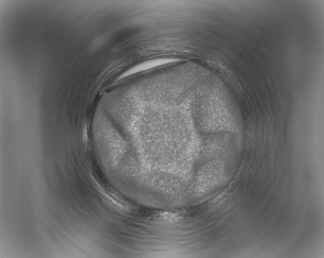 X0000053120166200508081301