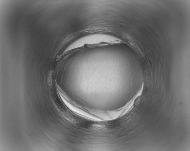 X0000053120167200508081301