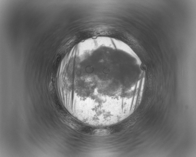 X0000053120169200508081301