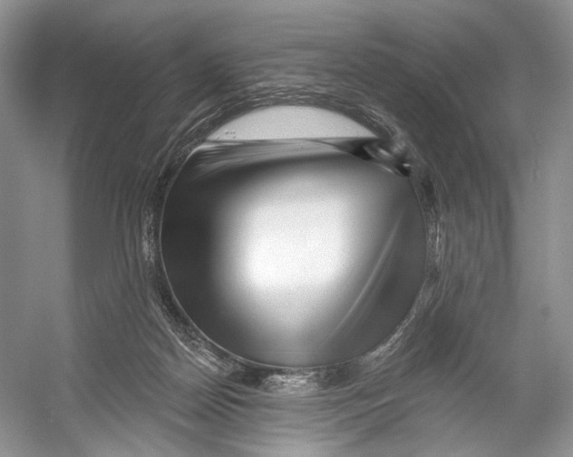 X0000053120170200508081301