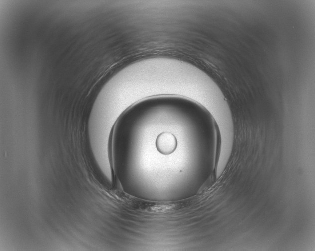 X0000053120172200508081301