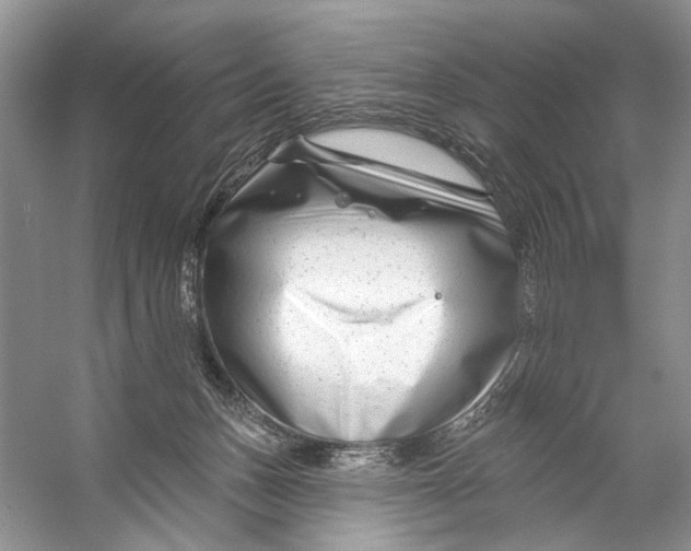 X0000053120175200508081301