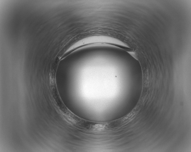 X0000053120176200508081301