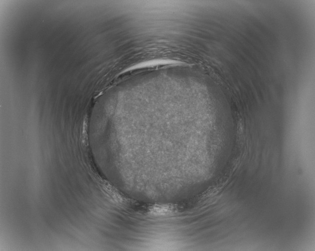 X0000053120177200508081301