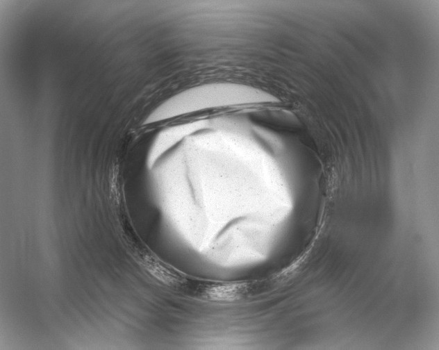 X0000053120178200508081301