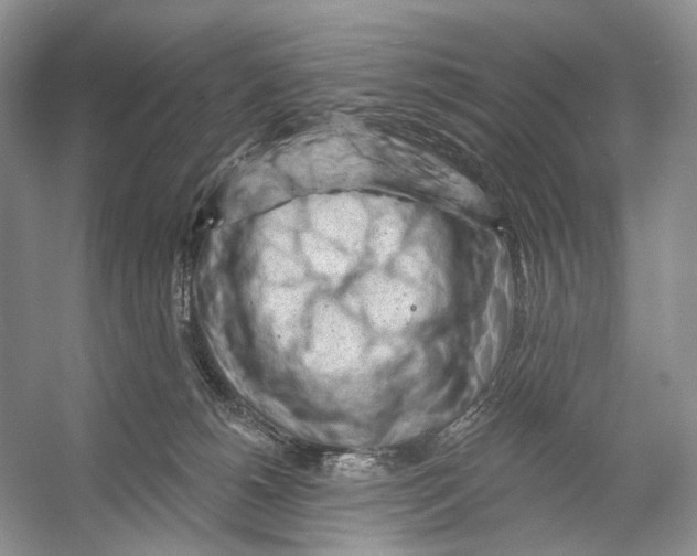 X0000053120180200508081301