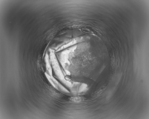 X0000053120181200508081301