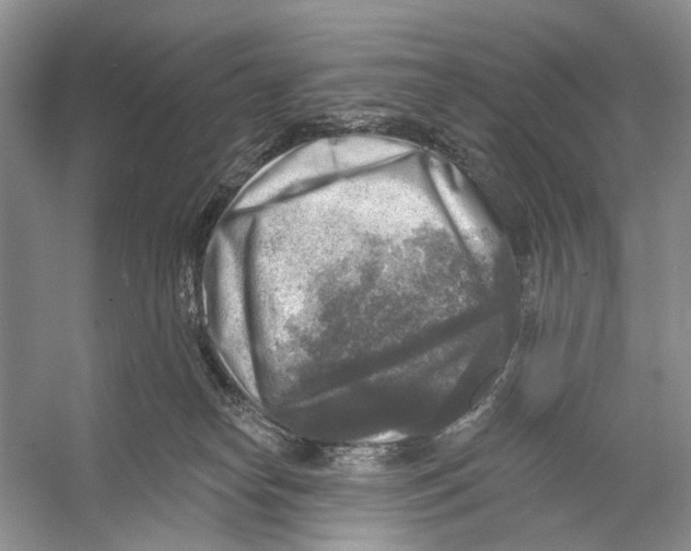 X0000053120182200508081301