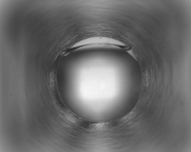 X0000053120184200508081301