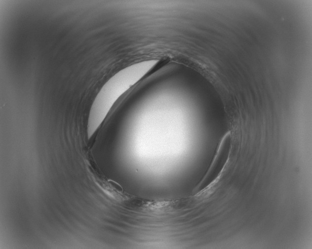 X0000053120186200508081301