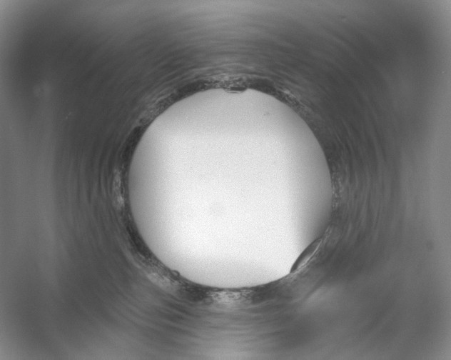 X0000053120187200508081301