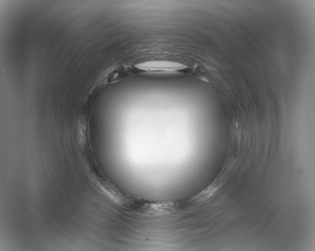 X0000053120188200508081301