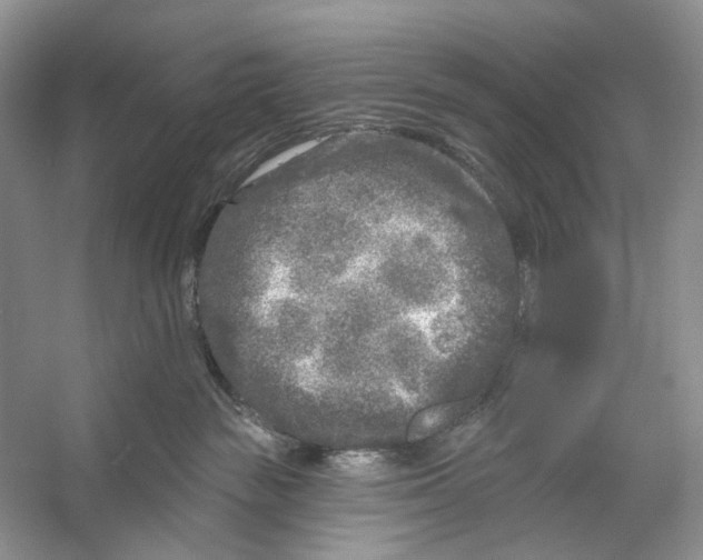 X0000053120189200508081301