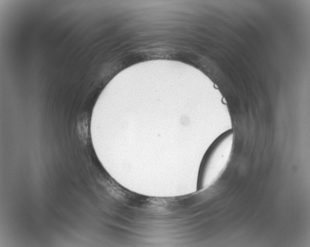 X0000053120190200508081301