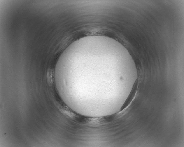 X0000053120191200508081301