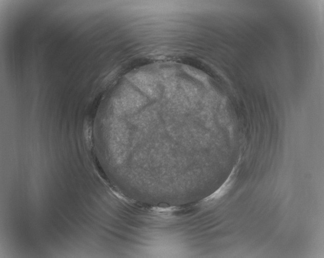 X0000053120192200508081301