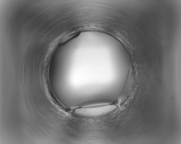 X0000053120193200508081300