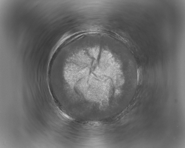 X0000053120195200508081300