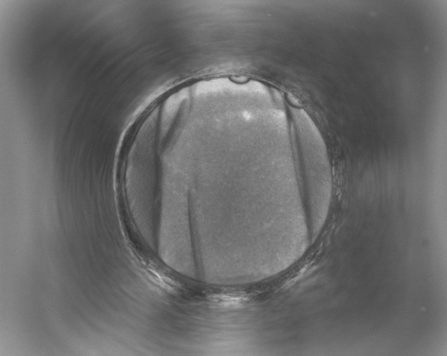 X0000053120196200508081300