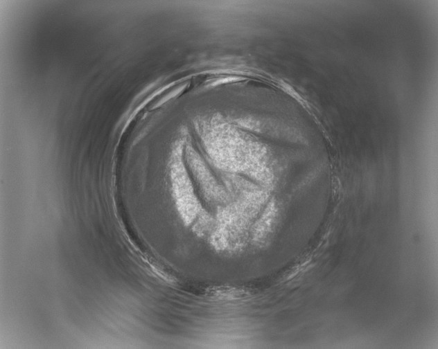 X0000053120199200508081300