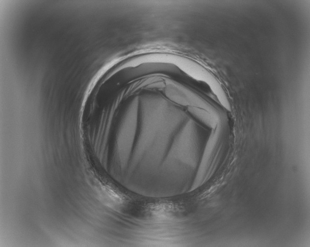 X0000053120200200508081300