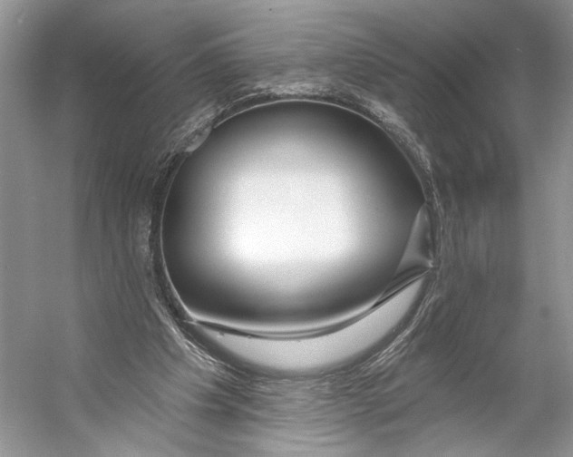 X0000053120201200508081300