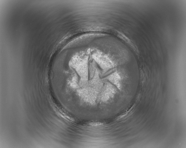 X0000053120203200508081300