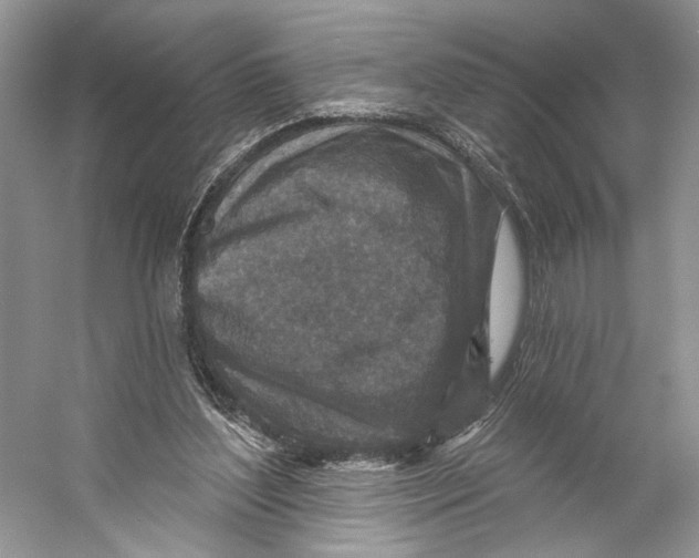 X0000053120204200508081300