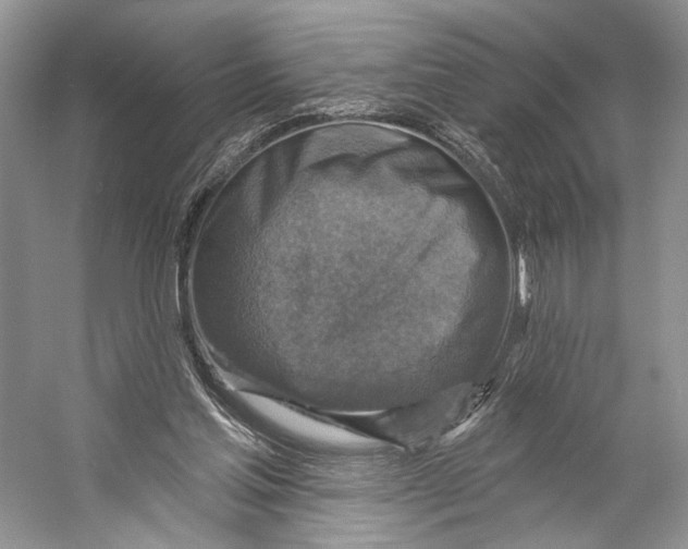 X0000053120205200508081300