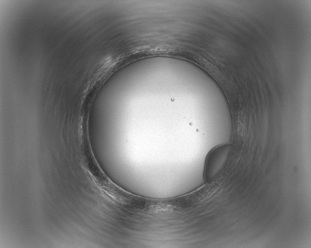 X0000053120206200508081300