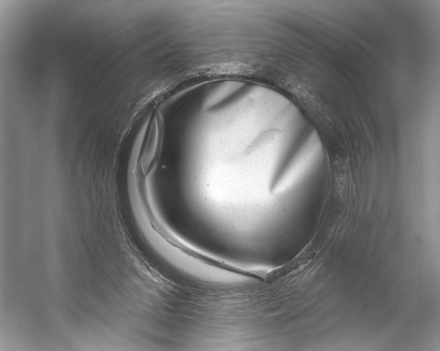 X0000053120207200508081300