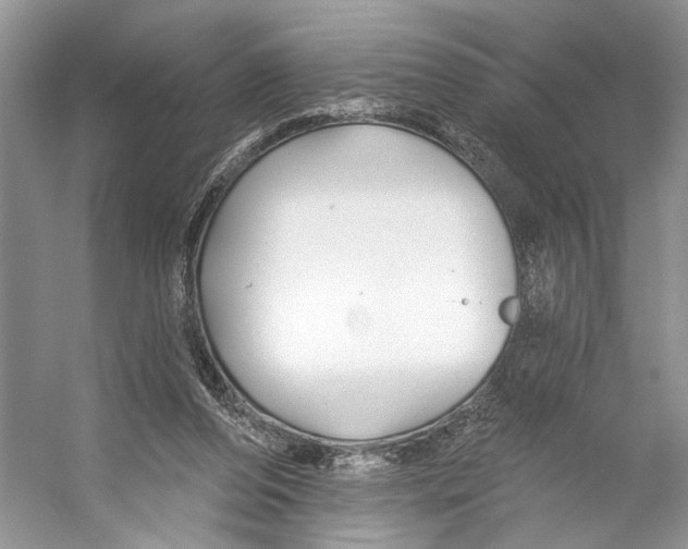 X0000053120208200508081300