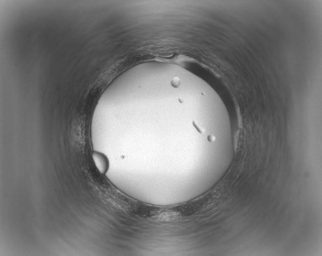 X0000053120210200508081300