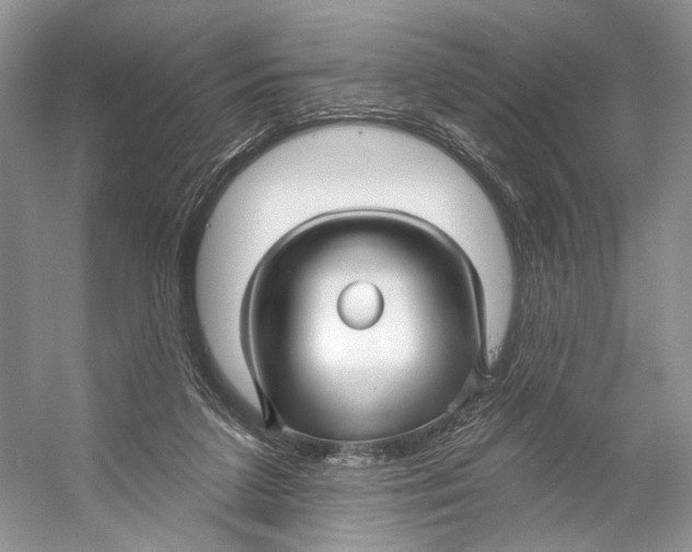 X0000053120211200508081300