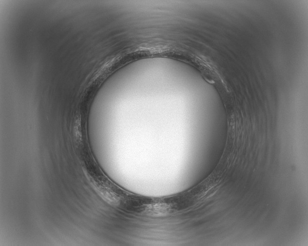 X0000053120212200508081300